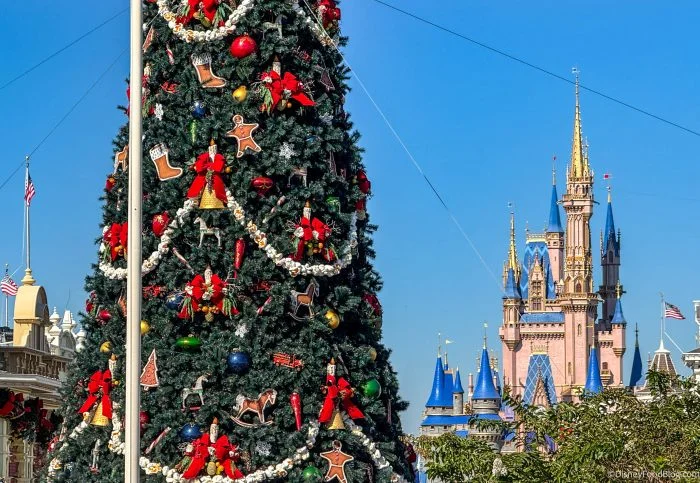 wdw-2025-mk-christmas-holidays-decorations-town-square-main-street-usa-christmas-tree-atmosph...webp