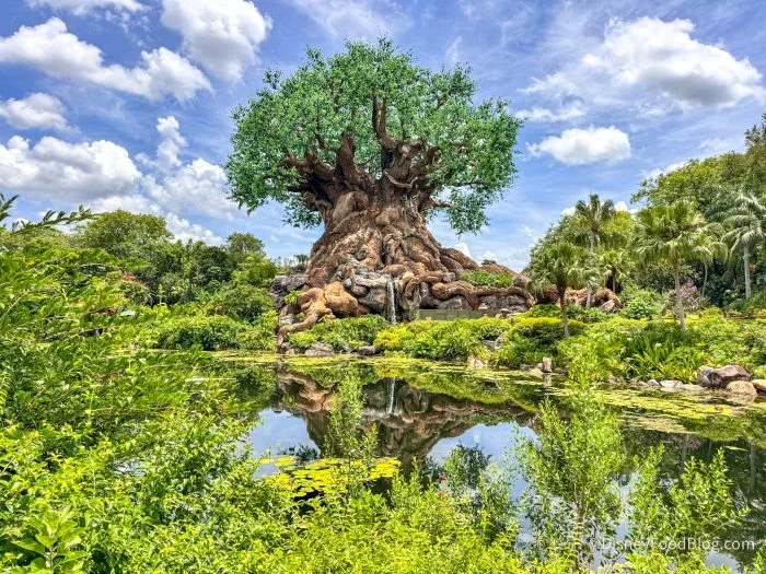 2025-WDW-animal-kingdom-tree-of-life-atmo-700x525.webp