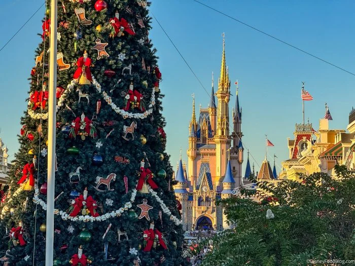wdw-2025-mk-christmas-holidays-decorations-town-square-main-street-usa-christmas-tree-atmosph...webp