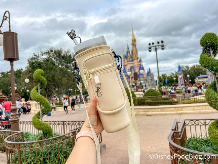 2024-wdw-mk-castle-hub-affiliate-partnership-product-stanley-cup-accessory-carrier-strap-check...jpg