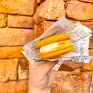 Magical Guides-_-Macaron-_-LArtisan-des-Glaces-_-France-_-World-Showcase-_-Epcot-_-Disney-World-4-2-700x...webp