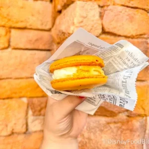 Magical Guides-_-Macaron-_-LArtisan-des-Glaces-_-France-_-World-Showcase-_-Epcot-_-Disney-World-1-2-700x...webp
