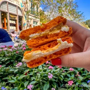 Magical Guides-_-Macaron-_-LArtisan-des-Glaces-_-France-_-World-Showcase-_-Epcot-_-Disney-World-2-2-700x...webp