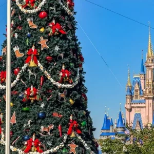 wdw-2025-mk-christmas-holidays-decorations-town-square-main-street-usa-christmas-tree-atmosph...webp