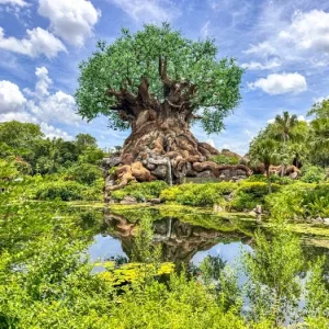 2025-WDW-animal-kingdom-tree-of-life-atmo-700x525.webp
