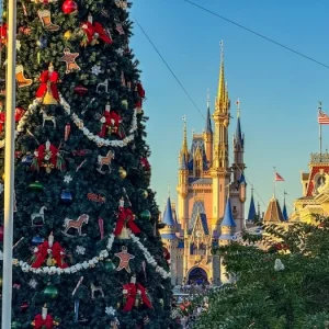 wdw-2025-mk-christmas-holidays-decorations-town-square-main-street-usa-christmas-tree-atmosph...webp